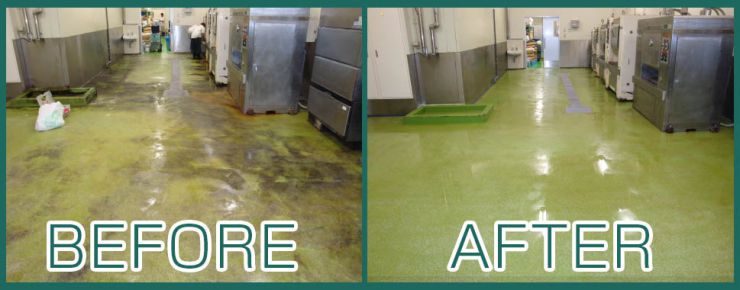 食品工場の床の施工事例 除菌洗剤、建物全般のカビ除去、藻類の除去、クロス・塗装面のヤニ汚れの除去　カビ汚れ除去 洗浄マジック 10シリーズ